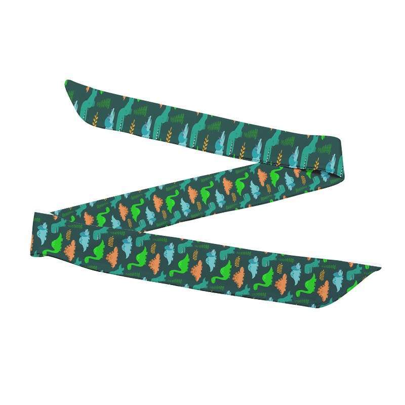 Dinosaur Printed Sports Hair Band for Male Outdoor Cycling Running Tennis Sweat Band Yoga Fitness Workout 2